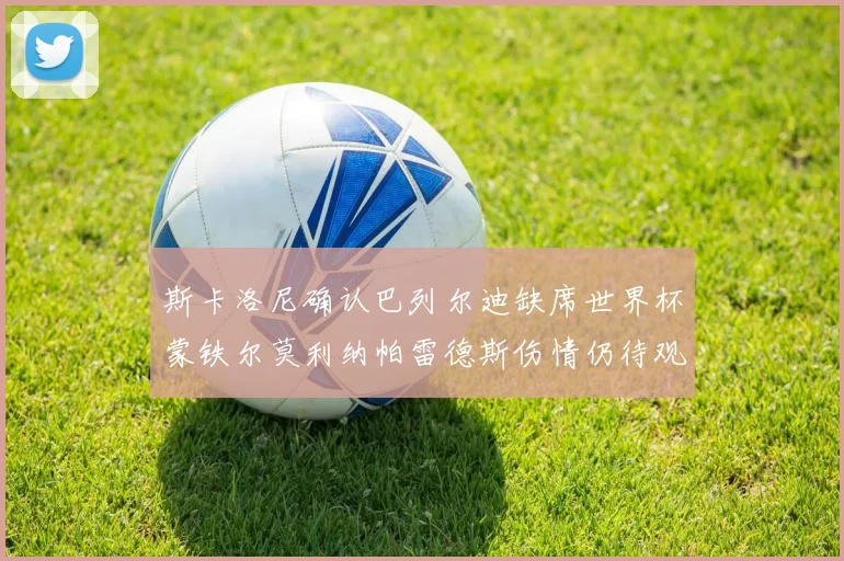 斯卡洛尼确认巴列尔迪缺席世界杯蒙铁尔莫利纳帕雷德斯伤情仍待观察