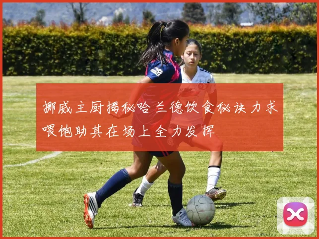 挪威主厨揭秘哈兰德饮食秘诀力求喂饱助其在场上全力发挥