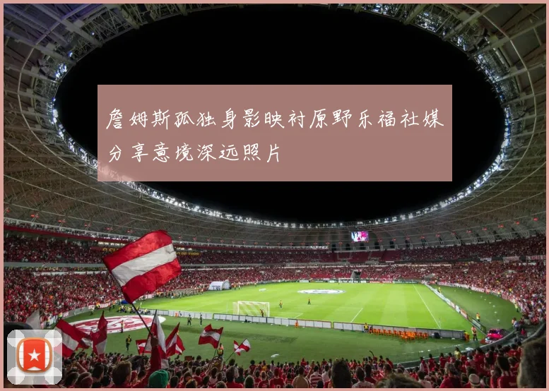 詹姆斯孤独身影映衬原野乐福社媒分享意境深远照片